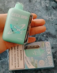 Geek Bar Pulse 15000 Puffs